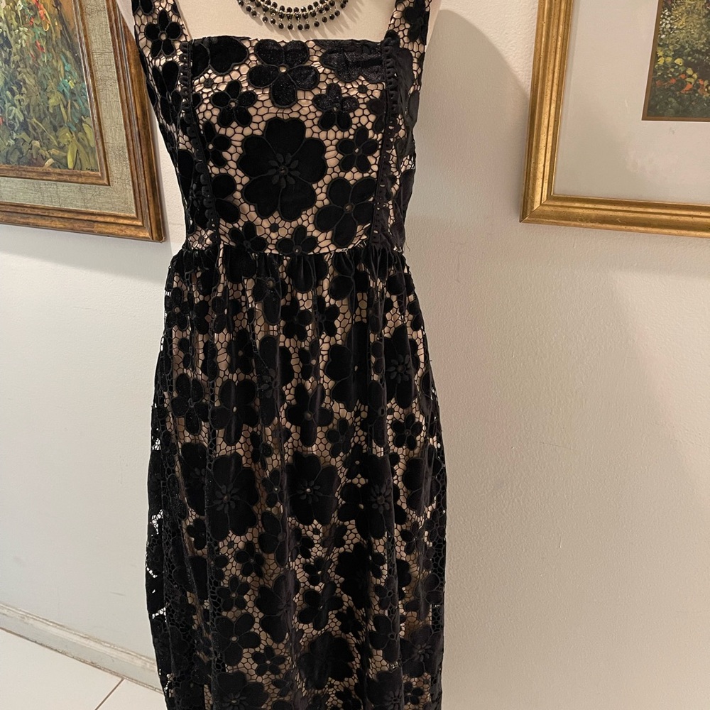 Just Me Elegant Black and Cream Lace Midi Dress